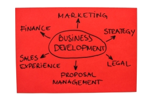 Business Development image